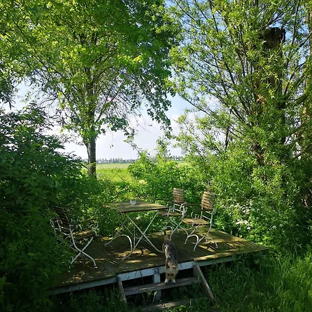 Modern Cozy Asian Style Bedroom With Kingsize Bath Panzió